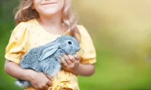 پکیج زبان انگلیسی کودک | به خرگوش میگیم Rabbit